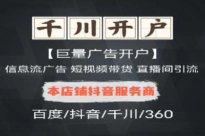 百度竞价广告与自然搜索排名的结合策略案例
